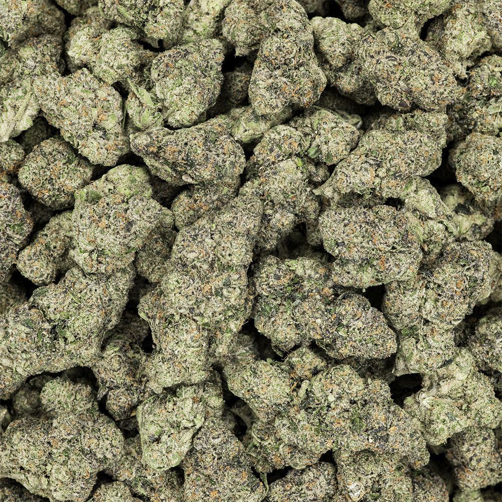 Revelry Premium Indoor THCA Pre-Rolls | 0.5g | 7pc Pack